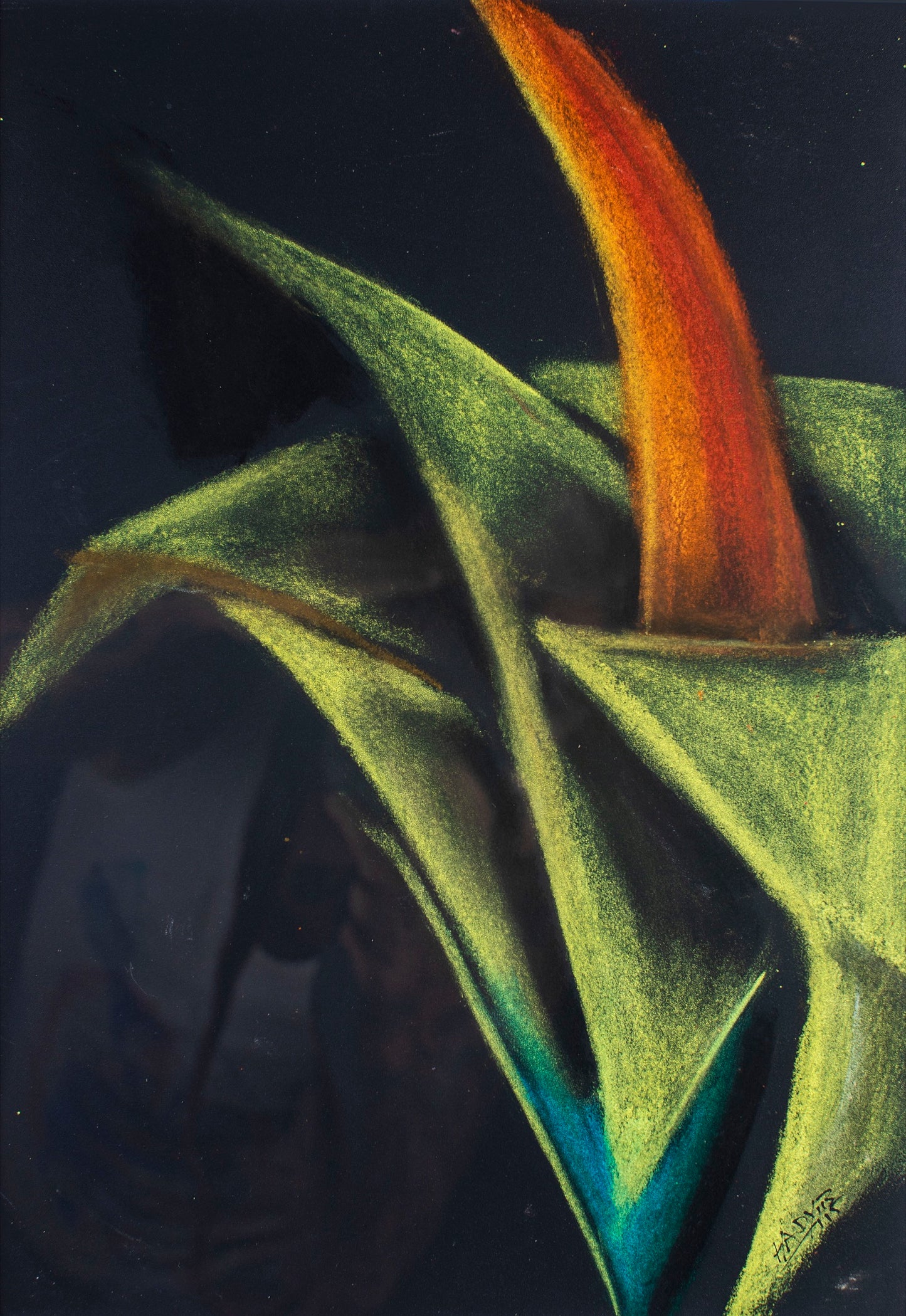 PHALLIC FLOWER