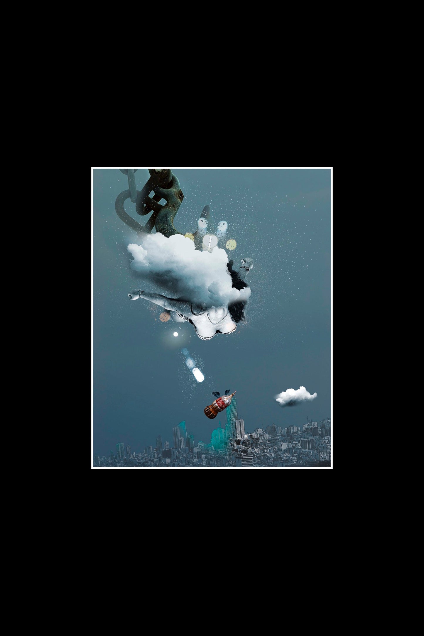 THE ILLUSION OF FLIGHT