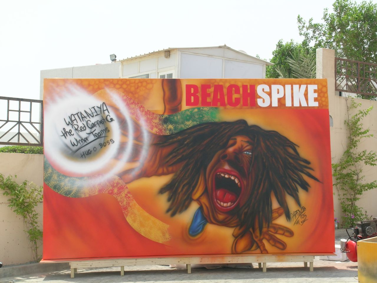 BEACH SPIKE