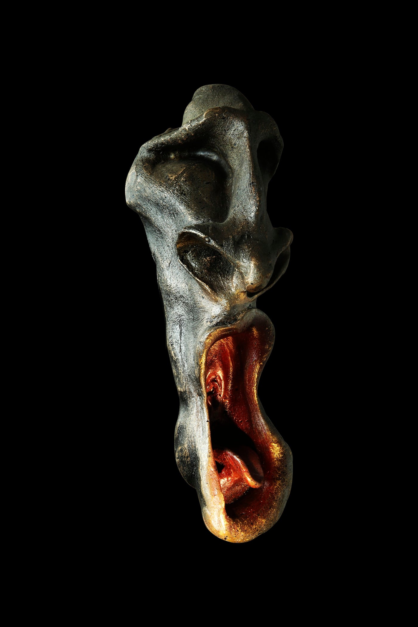 VOX NUCTURNA: REASON