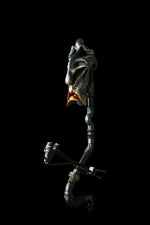 THE SENTINEL: COLLECTIVE UNCONSCIOUS