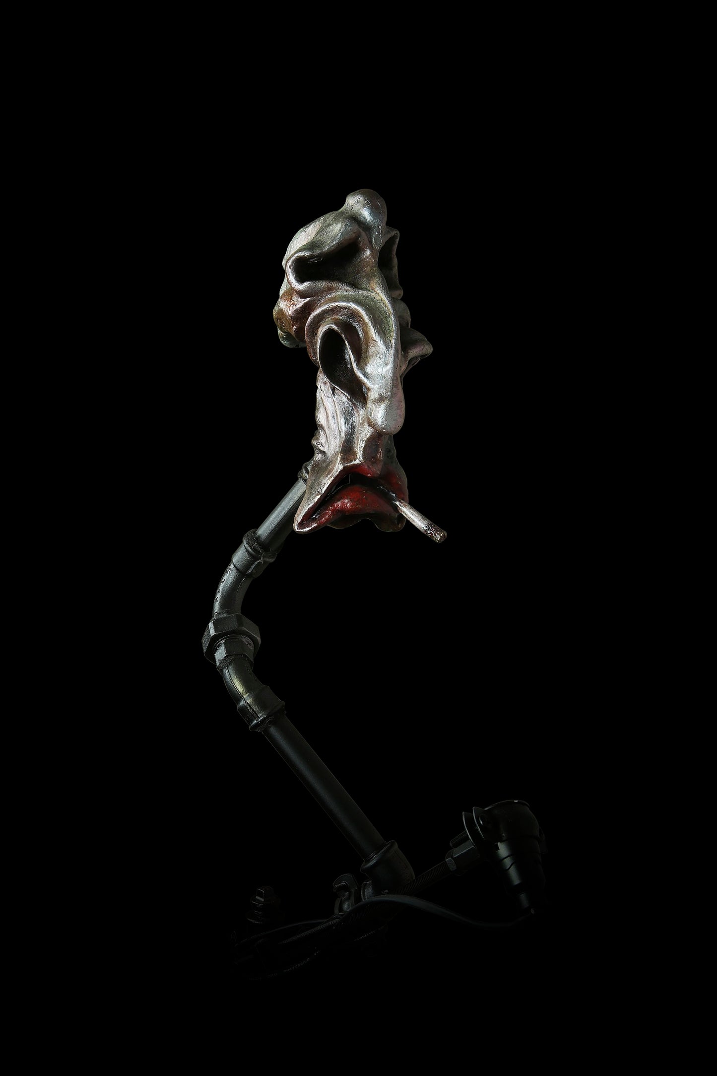 THE SENTINEL: INDIVIDUAL UNCONSCIOUS