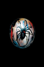 HELMET SPIDER