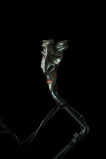 JUDAS: THE ULTIMATE BETRAYER