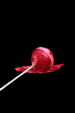 LOLLIROSE