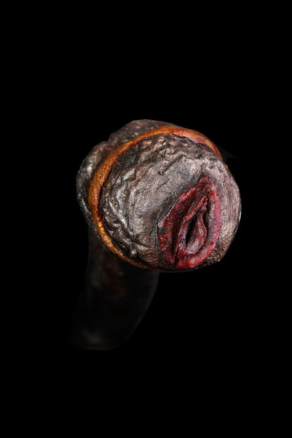 MIC SILVER: INSTRUMENT OF CREATION