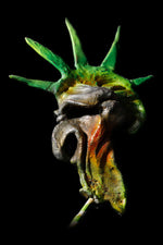 PUNK: DON’T GIVE UP