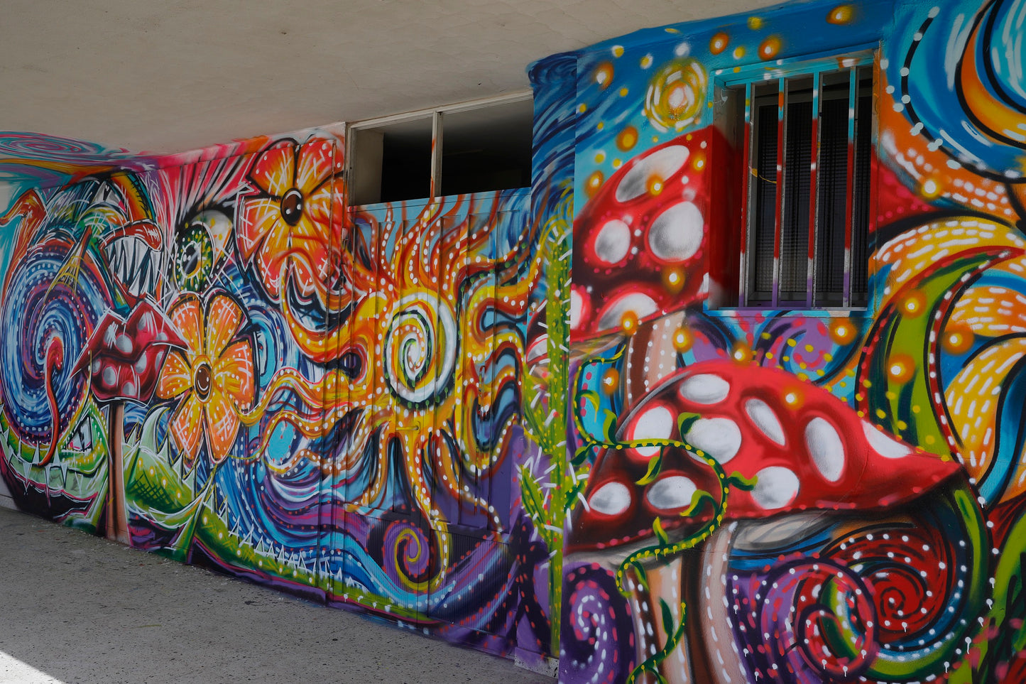 STUDIO GRAFFITTI