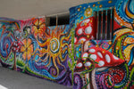 STUDIO GRAFFITTI