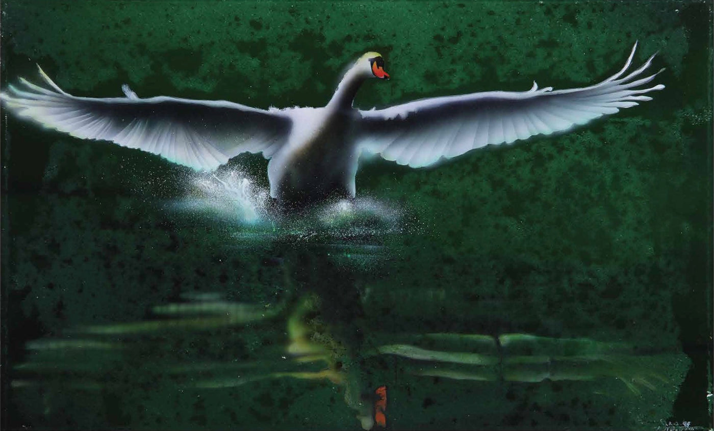 SWAN