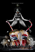 THE RIGHT TO DEFENCE