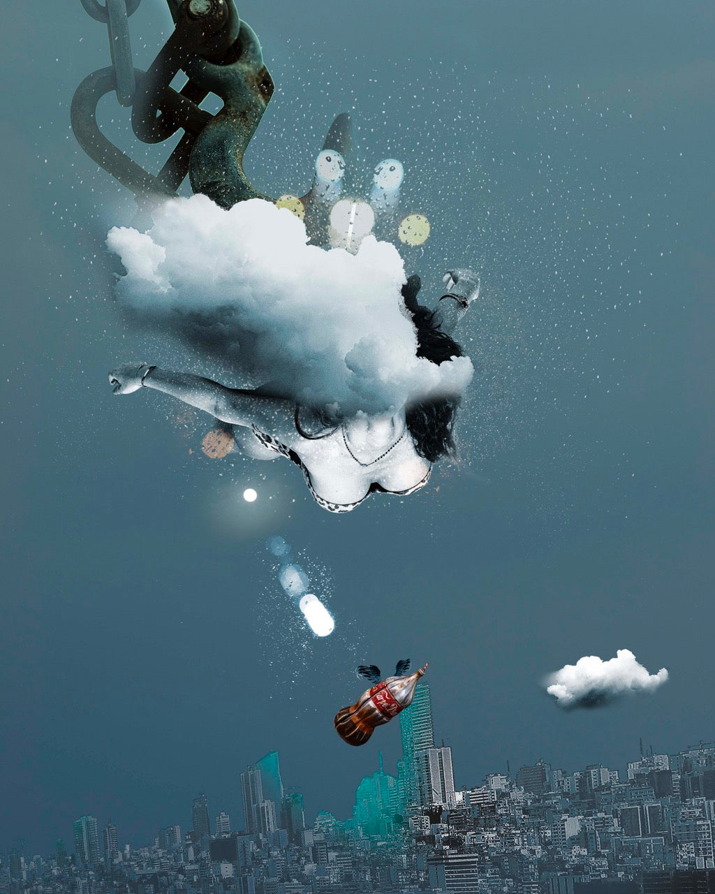 THE ILLUSION OF FLIGHT