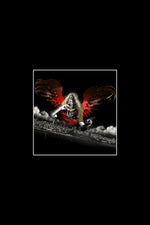 THE PERFORMANCE OF RULE